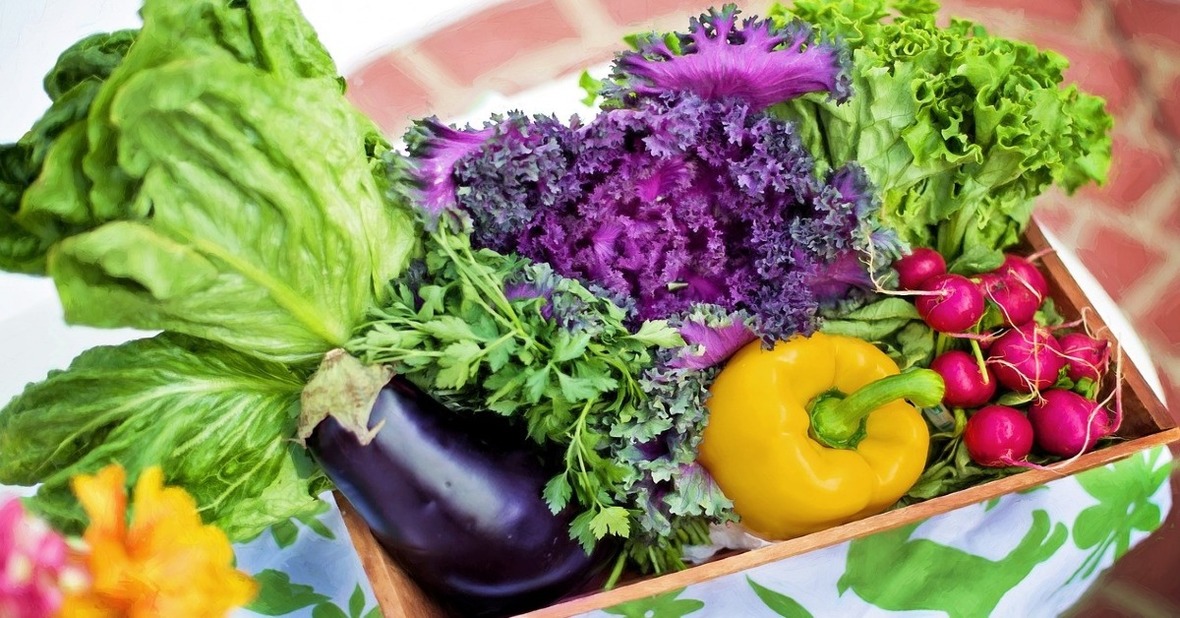Caja con verduras que alguien ha recogido de su huerto, lo que suma una alimentación saludable a los beneficios de la jardinería en personas mayores