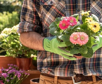 Beneficios de la jardinería para personas mayores