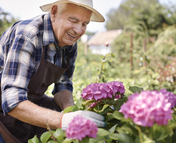 Los beneficios de la terapia con plantas – Teleasistencia