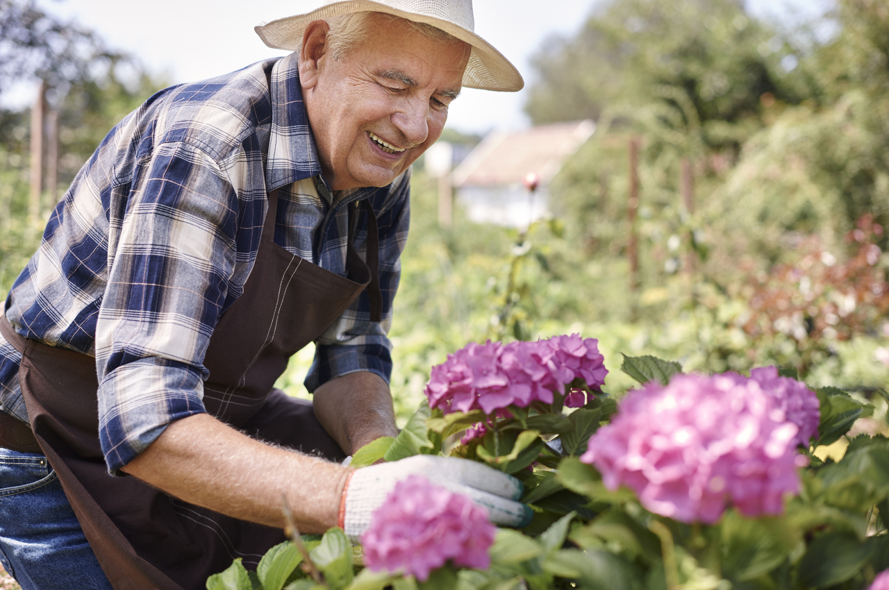 Un hombre mayor cuidando de su jardín.