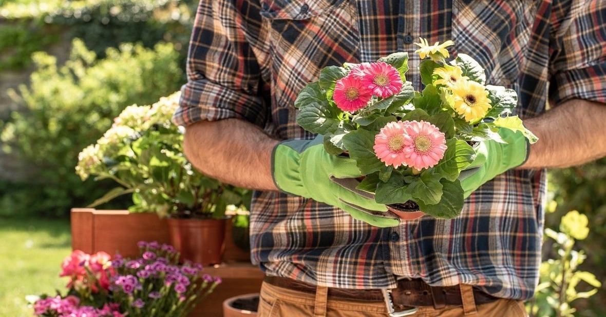 Hombre sujetando una maceta con flores que va a trasplantar, una actividad que se realiza en talleres de jardinería para personas mayores